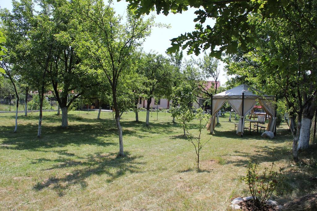 Pensiunea Casa Noastra Baia de Fier Exterior foto