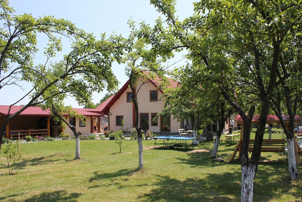 Pensiunea Casa Noastra Baia de Fier Exterior foto